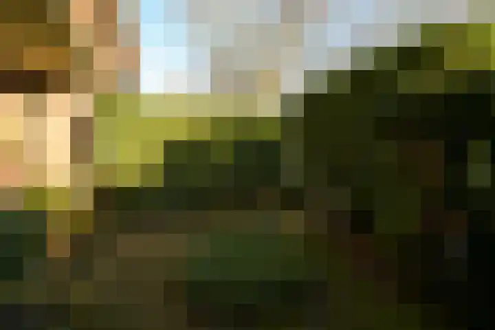 Ruychrocklaan 136 Den Haag thumbnail 7