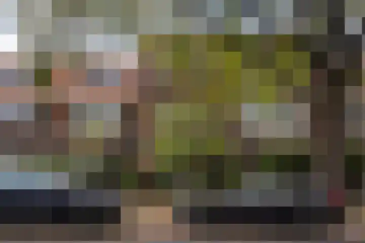 Ruychrocklaan 162 Den Haag