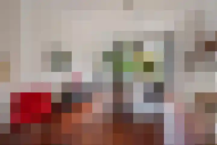 Ruychrocklaan 162 Den Haag thumbnail 12