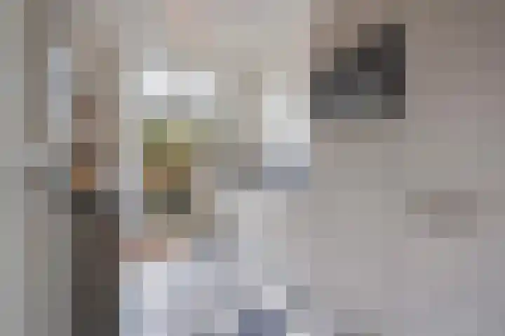 Ruychrocklaan 162 Den Haag thumbnail 15