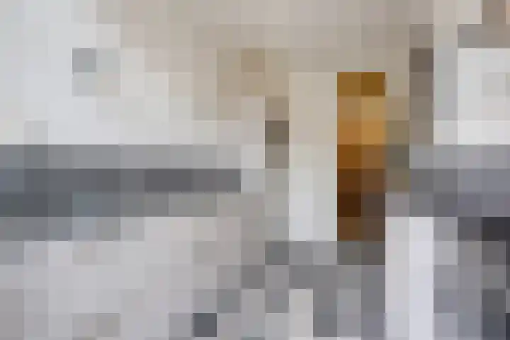 Ruychrocklaan 162 Den Haag thumbnail 16