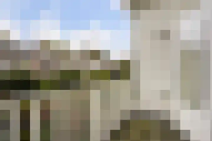 Ruychrocklaan 162 Den Haag thumbnail 34