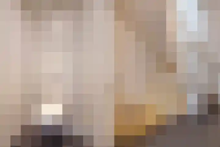 Ruychrocklaan 162 Den Haag thumbnail 37