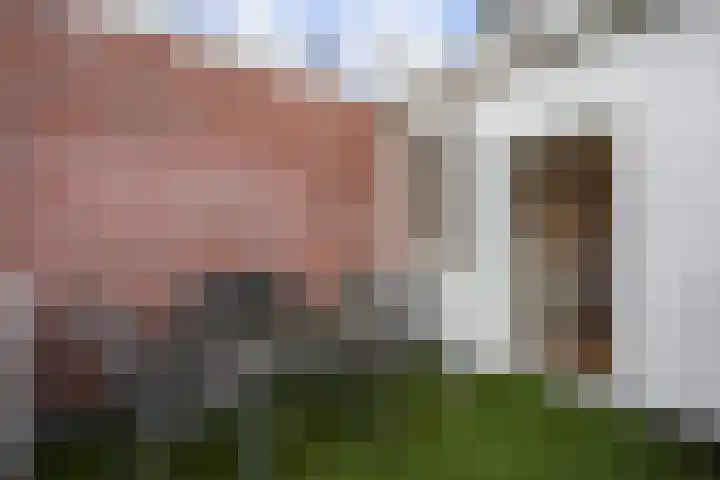 Ruychrocklaan 162 Den Haag thumbnail 51