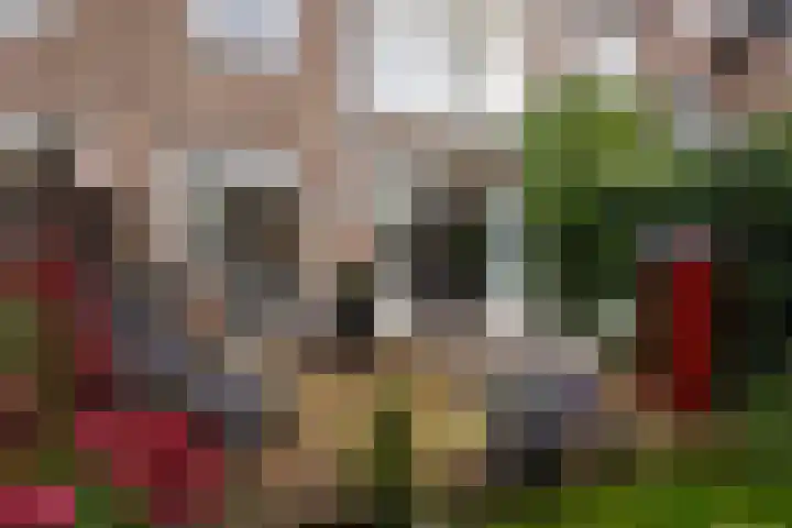Ruychrocklaan 162 Den Haag thumbnail 61