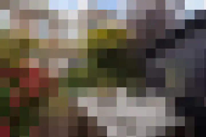 Ruychrocklaan 162 Den Haag thumbnail 64
