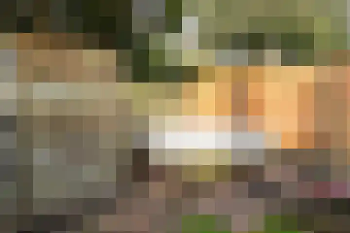 Ruychrocklaan 172 Den Haag thumbnail 26