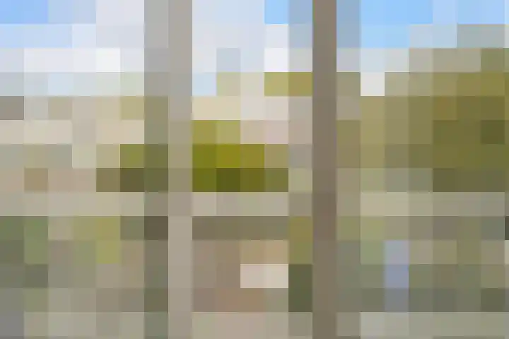 Ruychrocklaan 172 Den Haag thumbnail 38