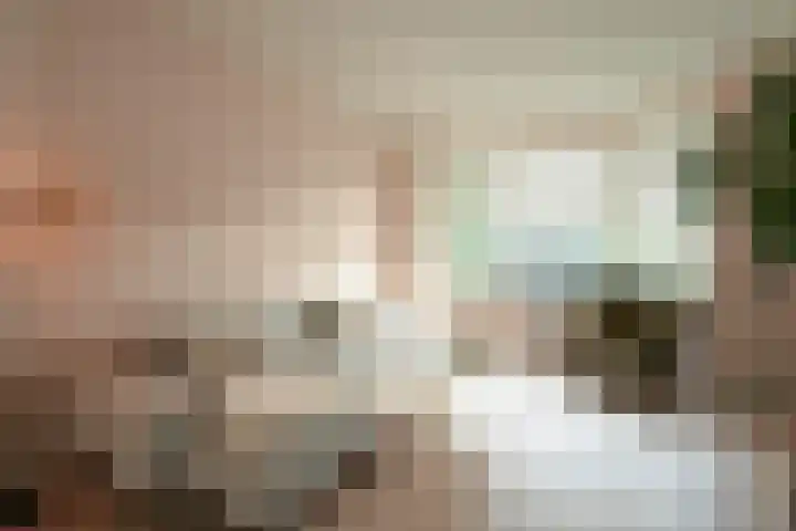 Ruychrocklaan 172 Den Haag thumbnail 6