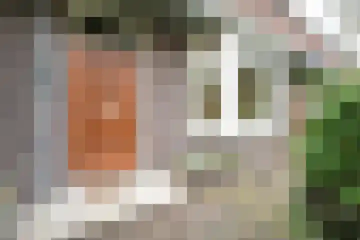 Ruychrocklaan 172 Den Haag thumbnail 61