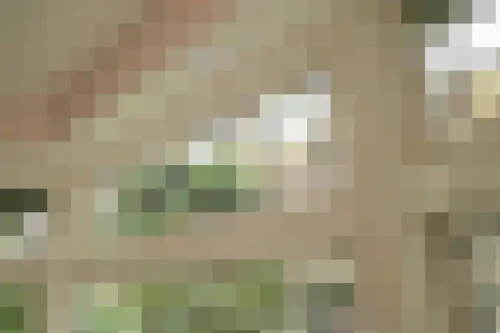 Ruychrocklaan 172 Den Haag thumbnail 64