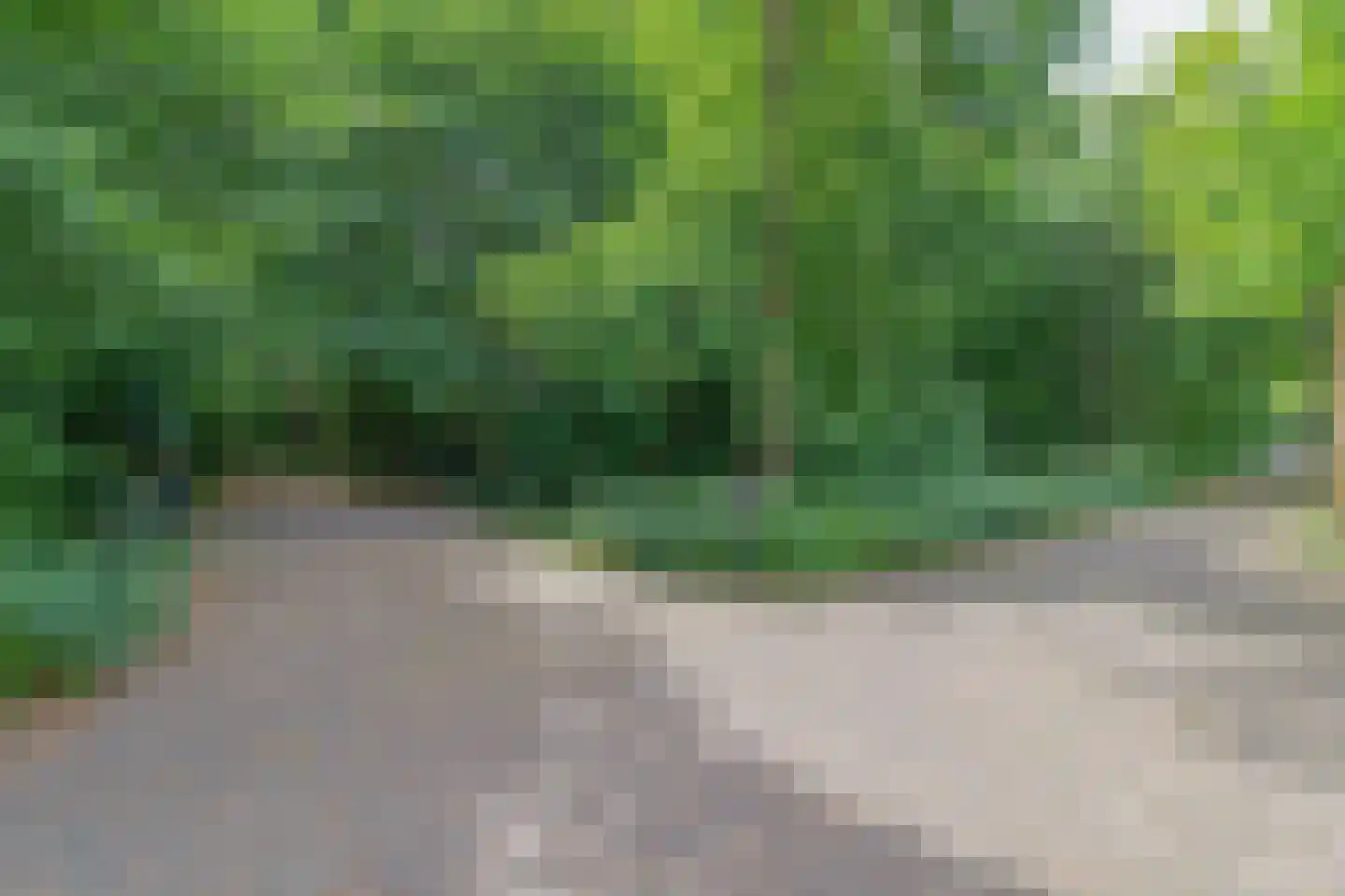 Ruychrocklaan 20 Den Haag thumbnail 21