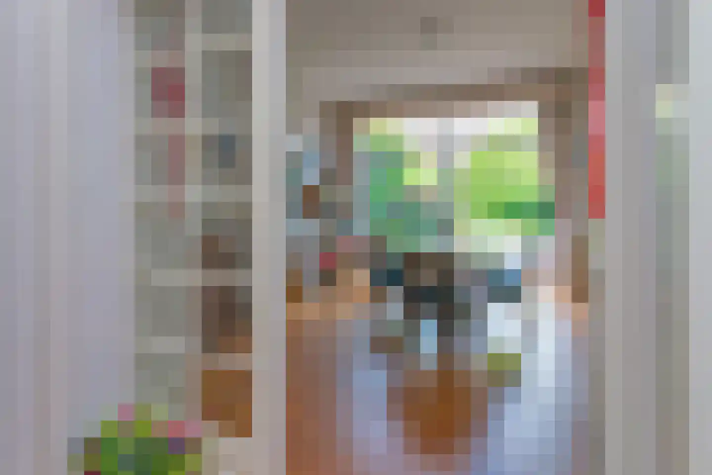 Ruychrocklaan 20 Den Haag thumbnail 4