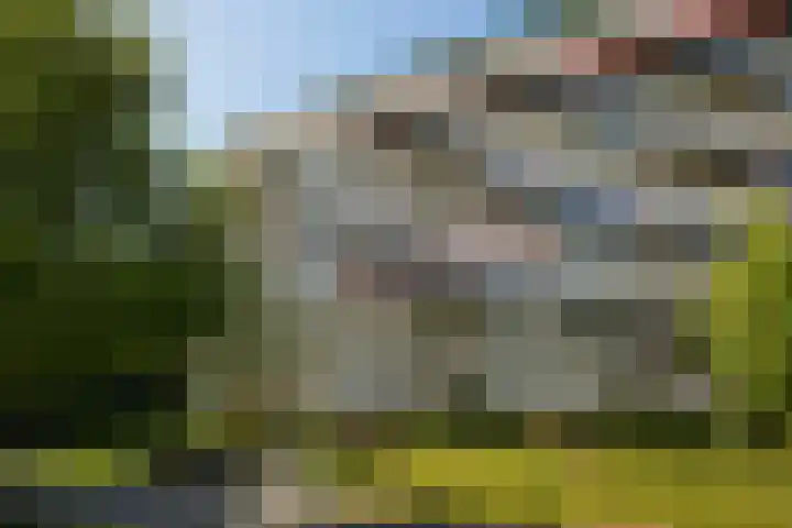 Ruychrocklaan 374 in Den Haag