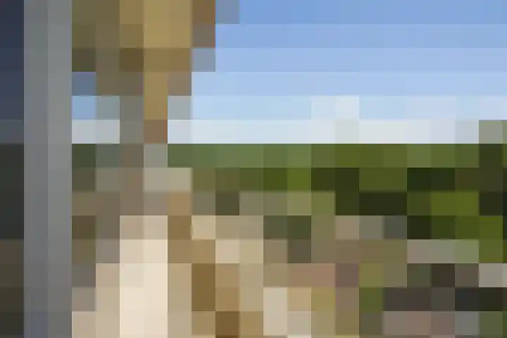 Ruychrocklaan 374 Den Haag thumbnail 16