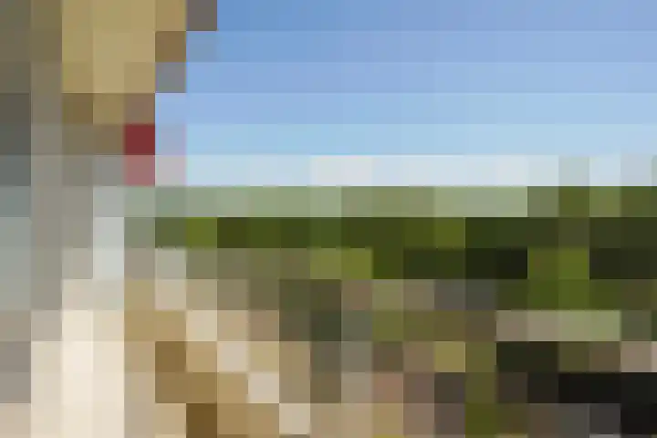 Ruychrocklaan 374 Den Haag thumbnail 19