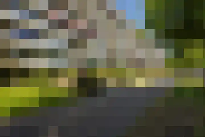 Ruychrocklaan 374 Den Haag thumbnail 47