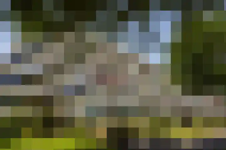 Ruychrocklaan 374 Den Haag thumbnail 48