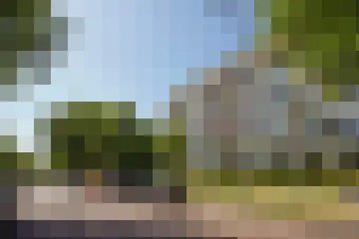 Ruychrocklaan 374 Den Haag thumbnail 53