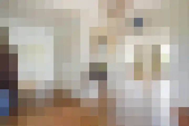 Ruychrocklaan 374 Den Haag thumbnail 8