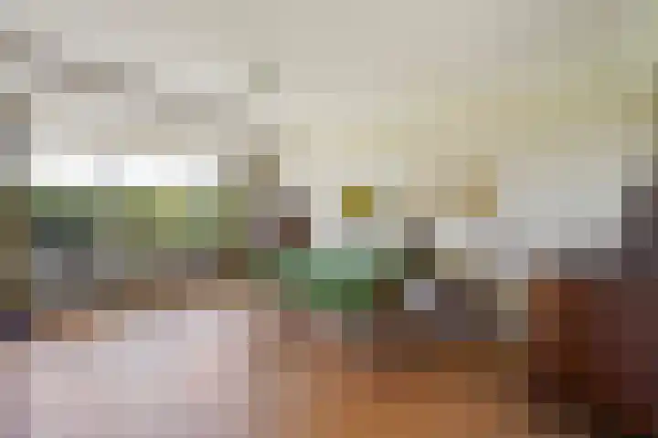 Ruychrocklaan 374 Den Haag thumbnail 9