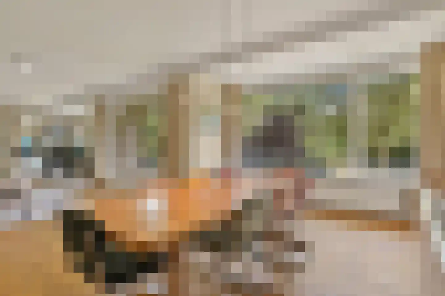 Ruychrocklaan 396 Den Haag thumbnail 16