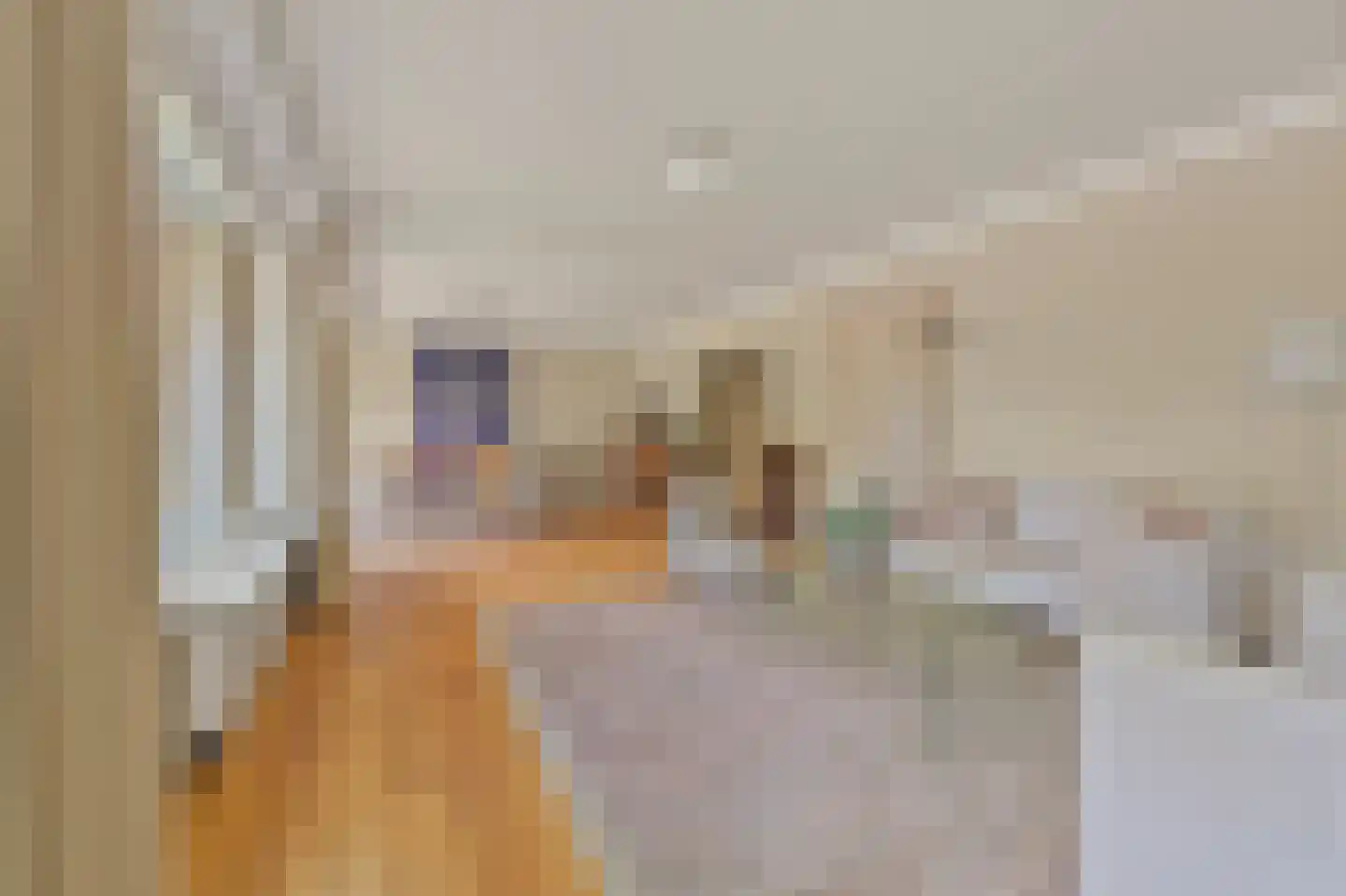 Ruychrocklaan 396 Den Haag thumbnail 17