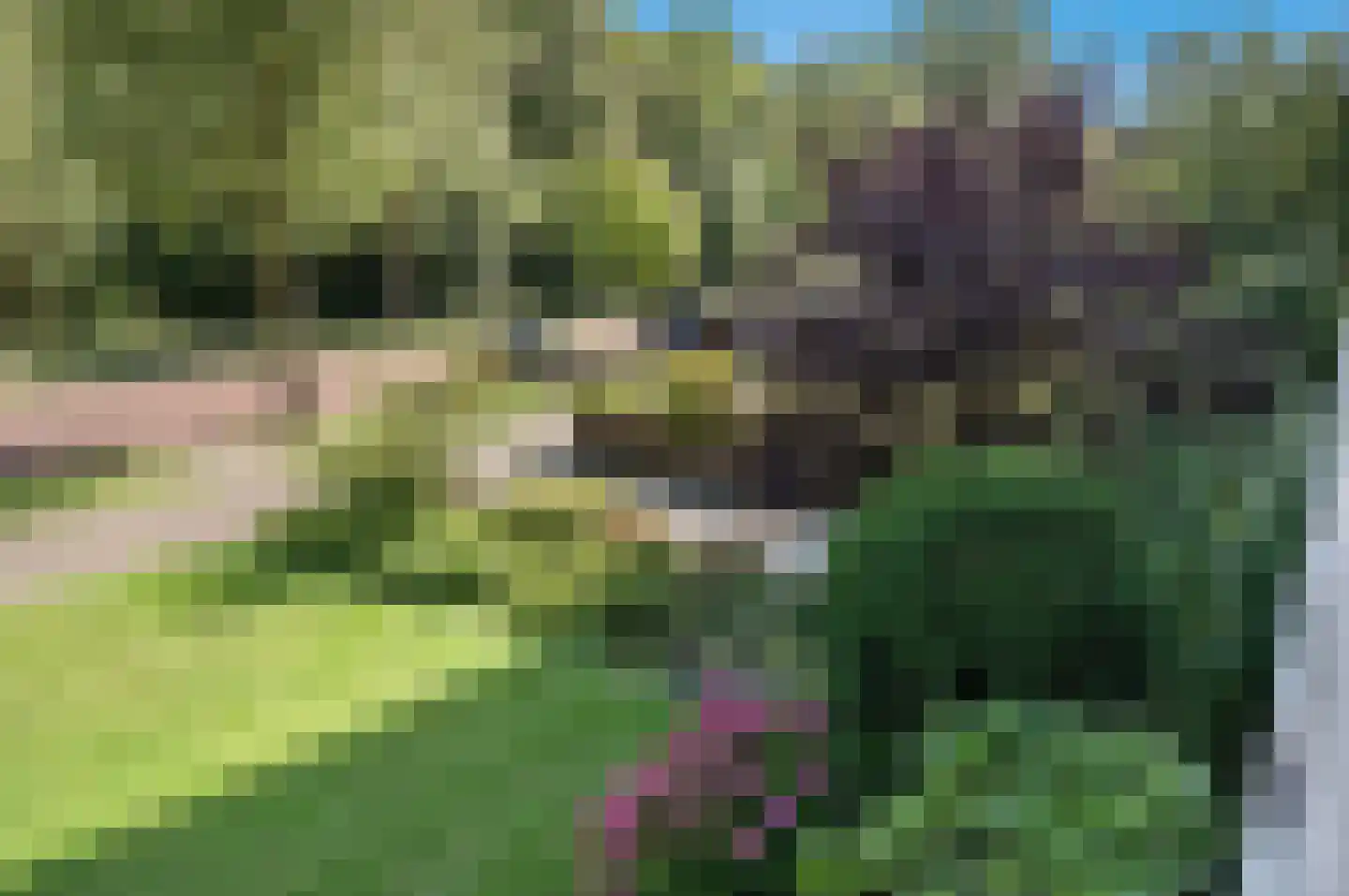 Ruychrocklaan 396 Den Haag thumbnail 27