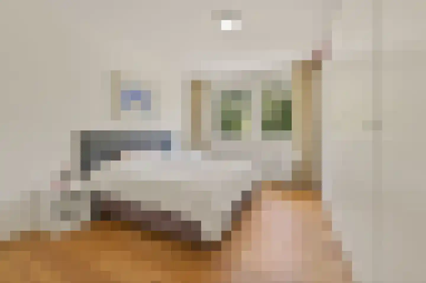 Ruychrocklaan 396 Den Haag thumbnail 37