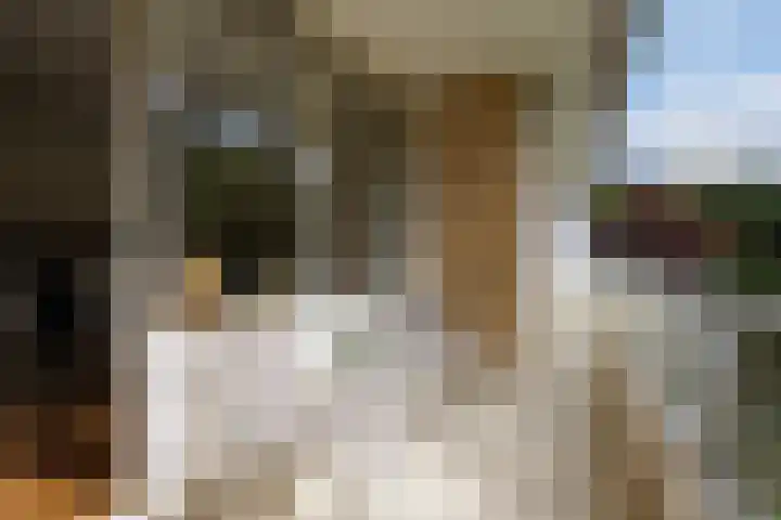 Ruychrocklaan 410 Den Haag thumbnail 10