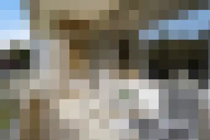 Ruychrocklaan 410 Den Haag thumbnail 12