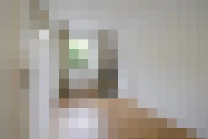 Ruychrocklaan 410 Den Haag thumbnail 24