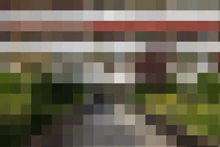 Ruychrocklaan 410 Den Haag thumbnail 29