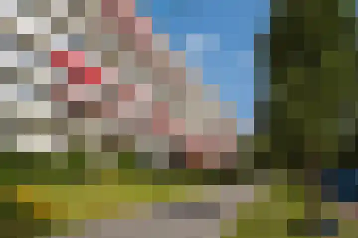 Ruychrocklaan 410 Den Haag thumbnail 30