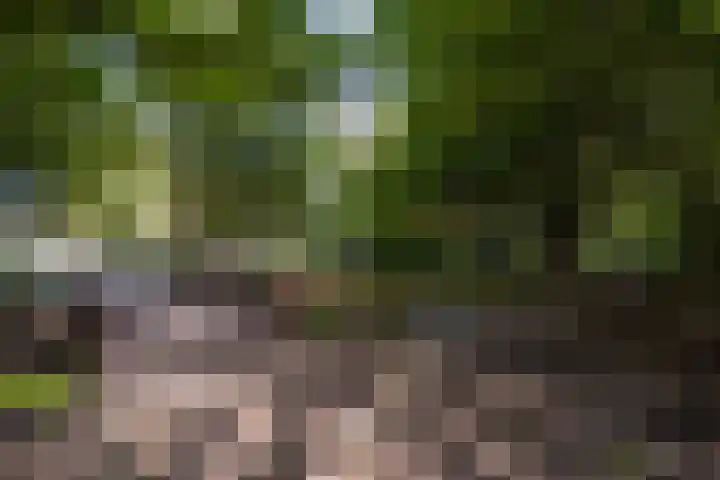 Ruychrocklaan 410 Den Haag thumbnail 32