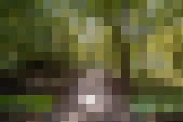 Ruychrocklaan 410 Den Haag thumbnail 33