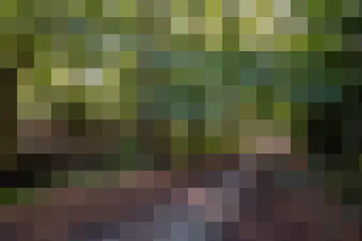 Ruychrocklaan 410 Den Haag thumbnail 34