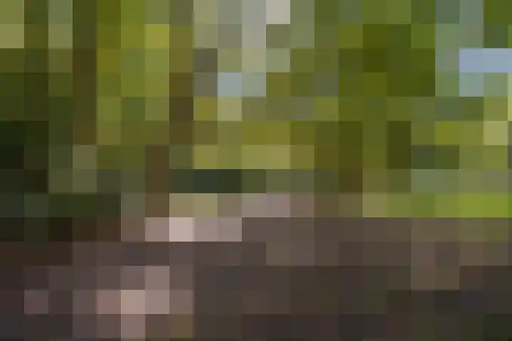 Ruychrocklaan 410 Den Haag thumbnail 35
