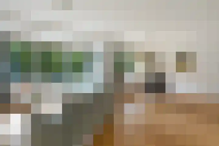 Ruychrocklaan 410 Den Haag thumbnail 4