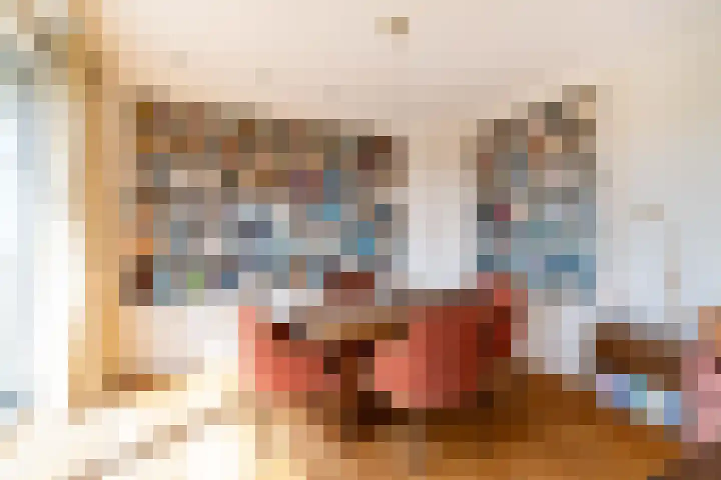 Ruychrocklaan 422 Den Haag thumbnail 52