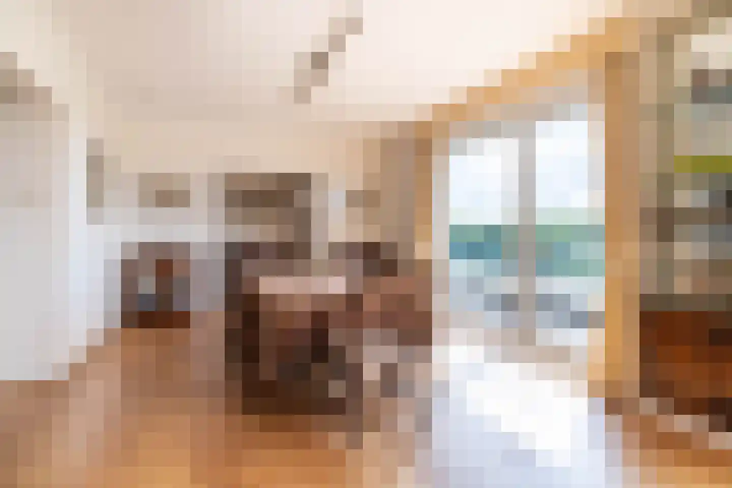 Ruychrocklaan 422 Den Haag thumbnail 55