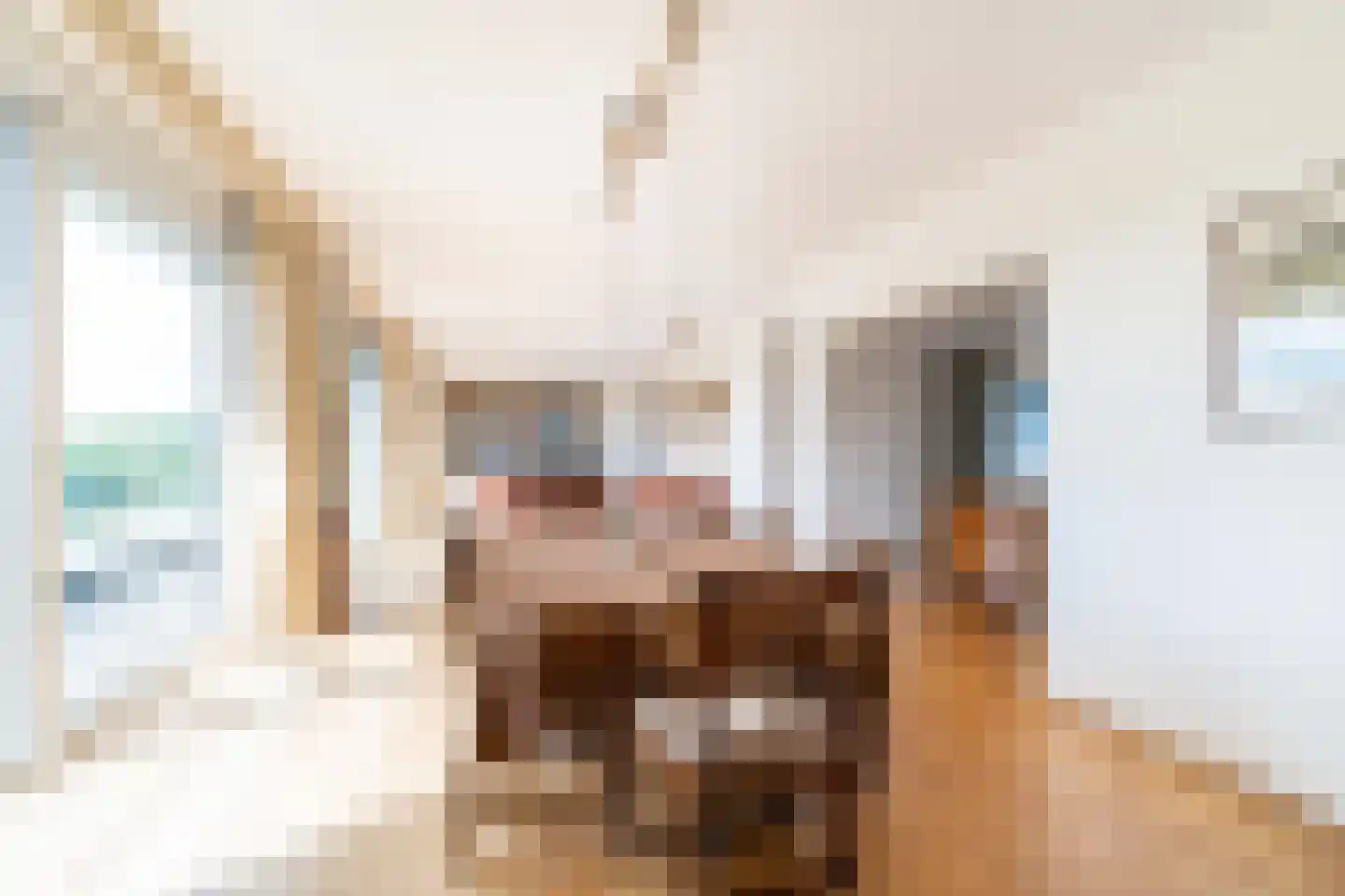 Ruychrocklaan 422 Den Haag thumbnail 58