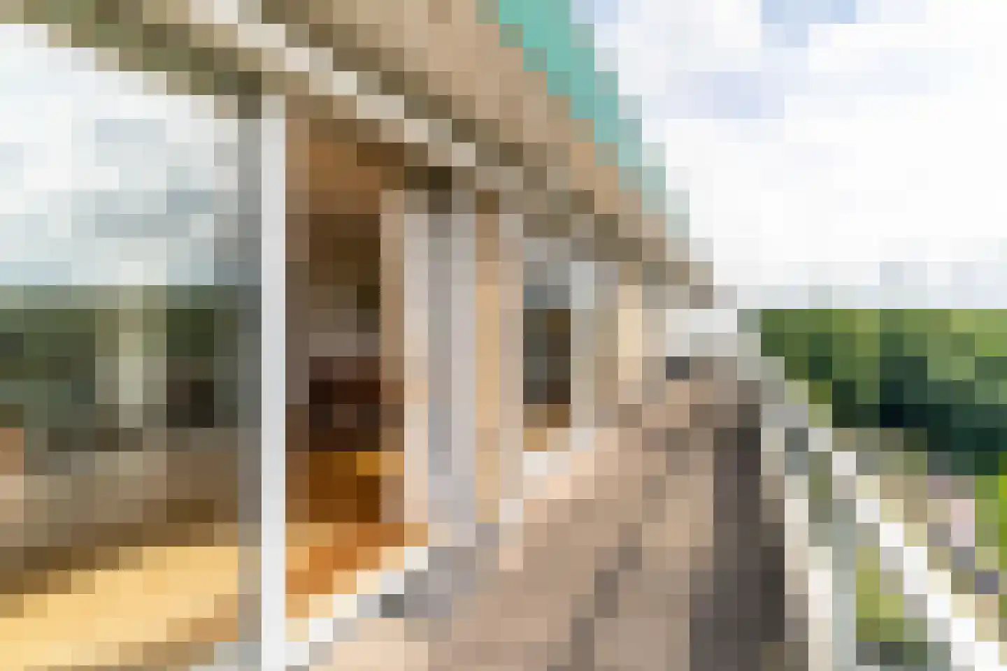 Ruychrocklaan 422 Den Haag thumbnail 63