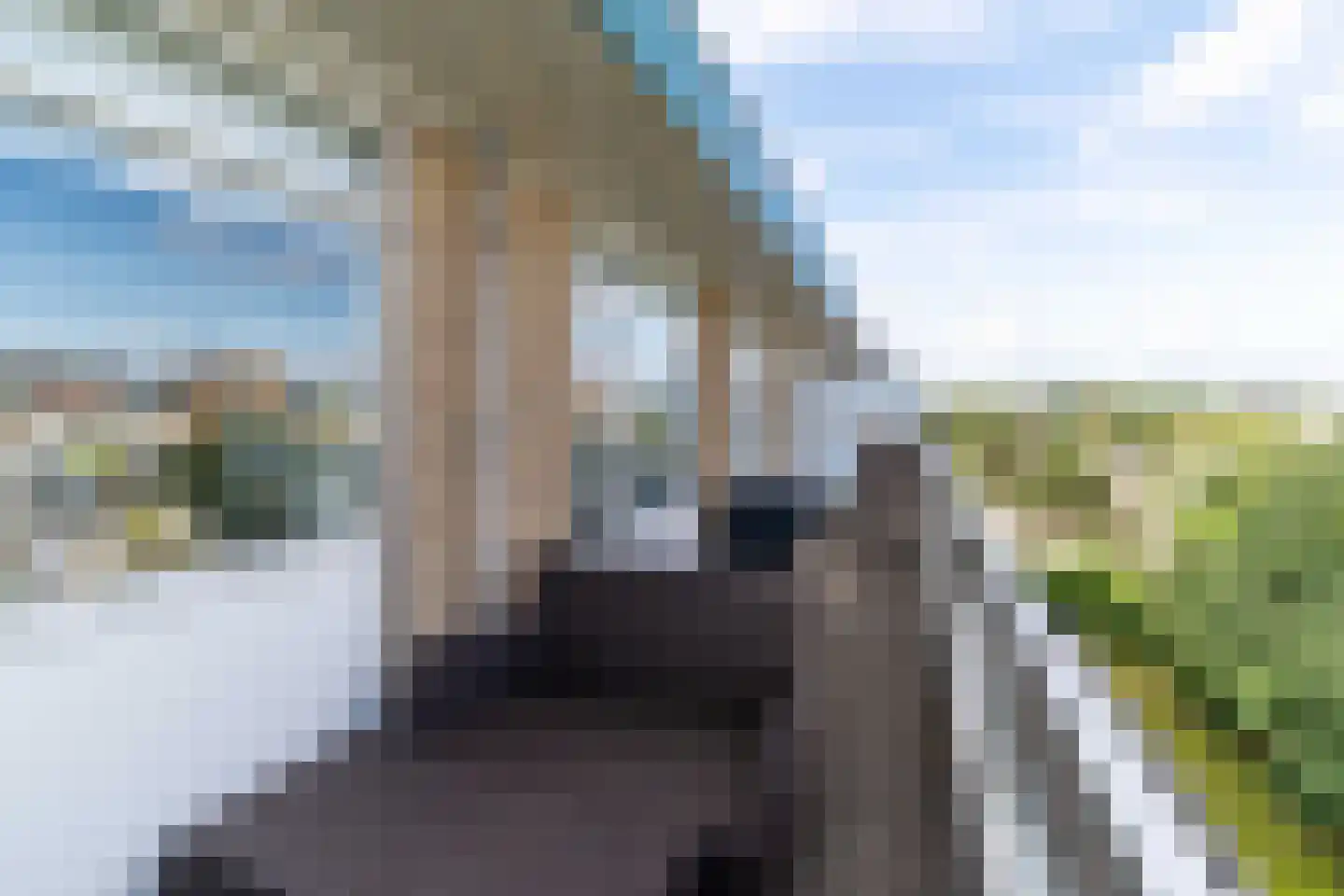 Ruychrocklaan 422 Den Haag thumbnail 72