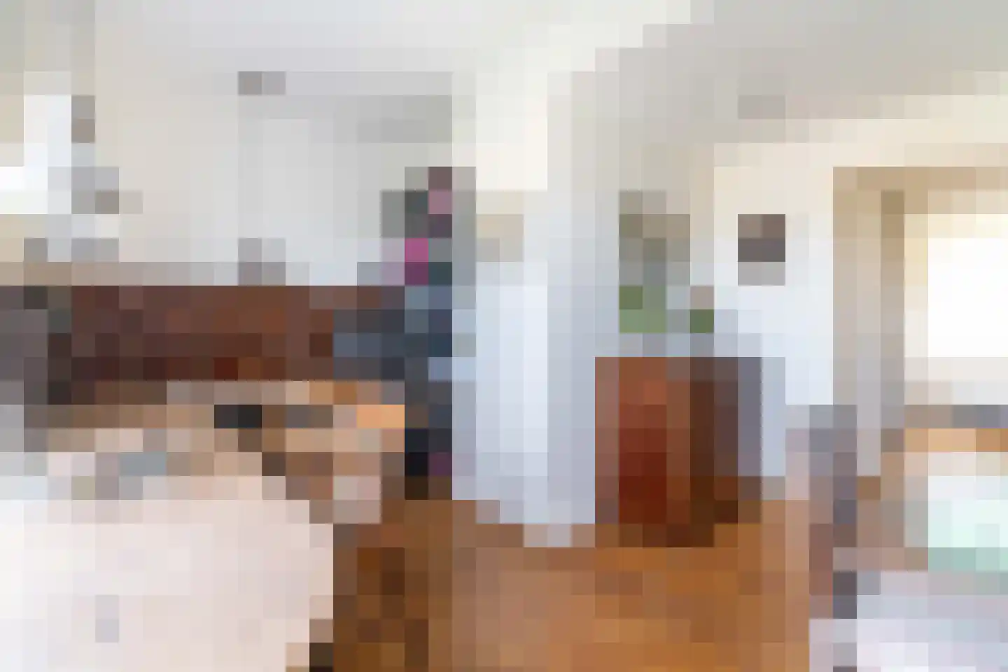 Ruychrocklaan 422 Den Haag thumbnail 81