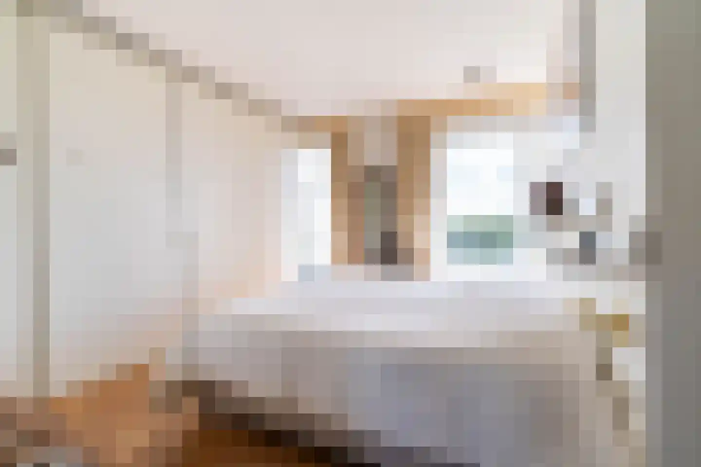 Ruychrocklaan 422 Den Haag thumbnail 83