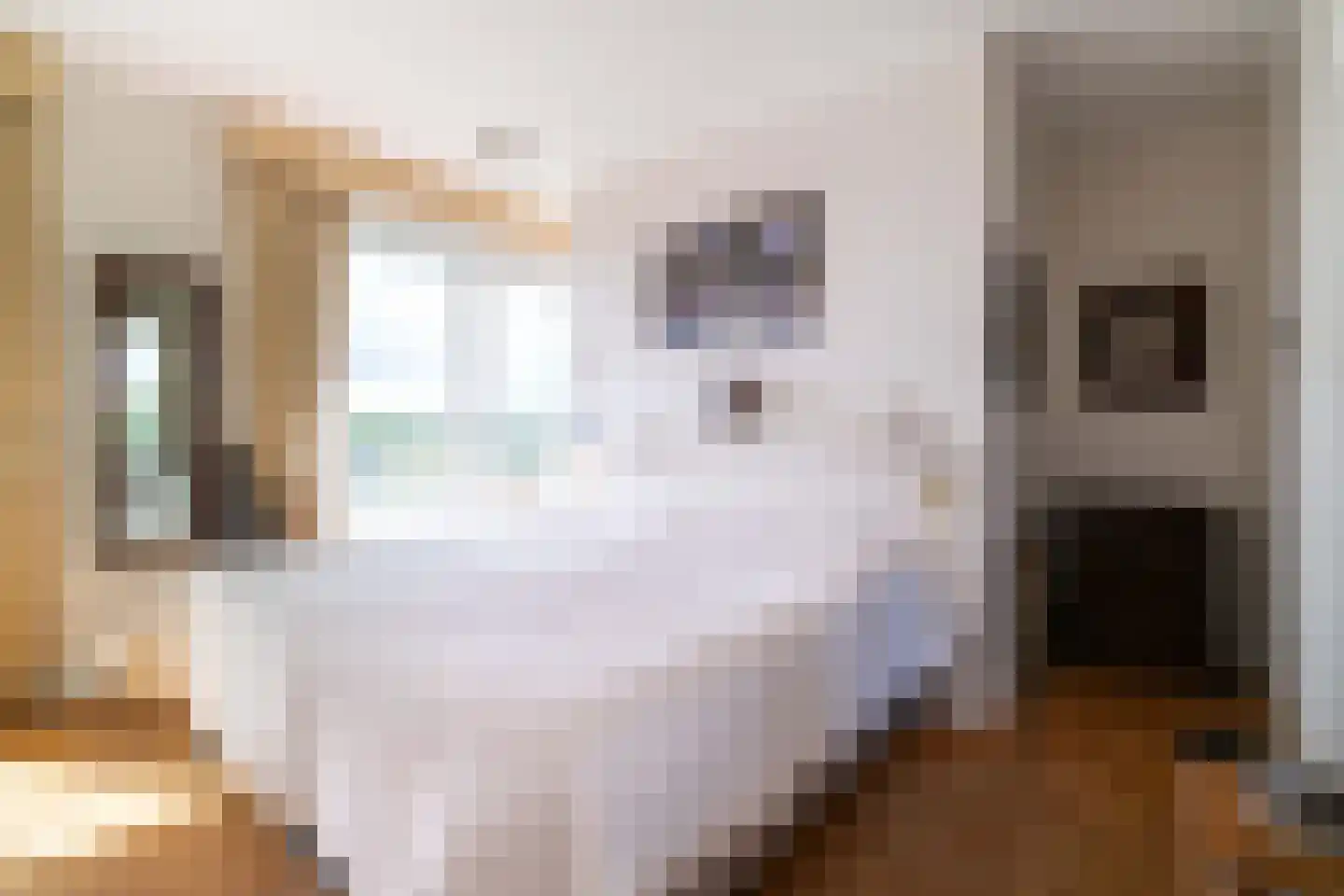 Ruychrocklaan 422 Den Haag thumbnail 84