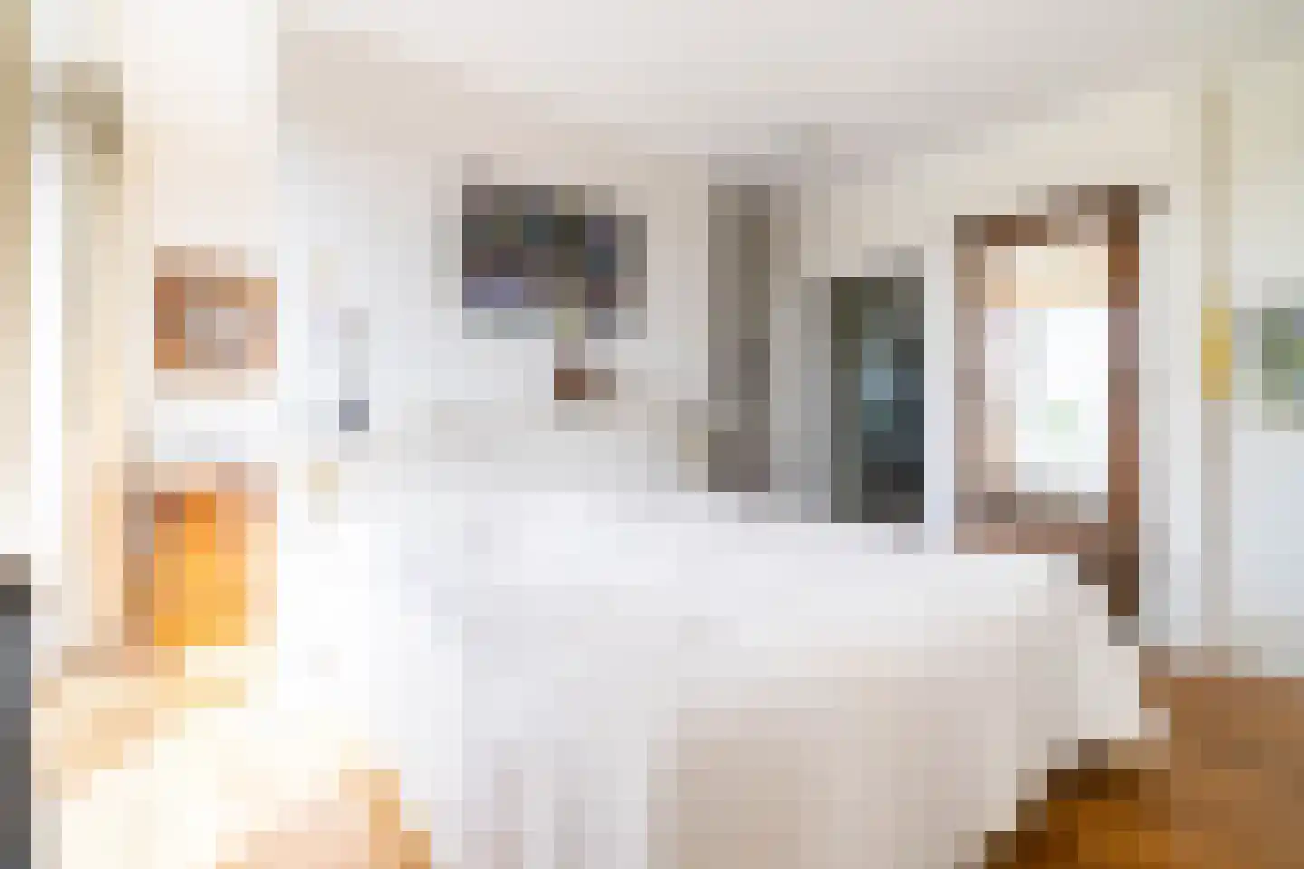 Ruychrocklaan 422 Den Haag thumbnail 85