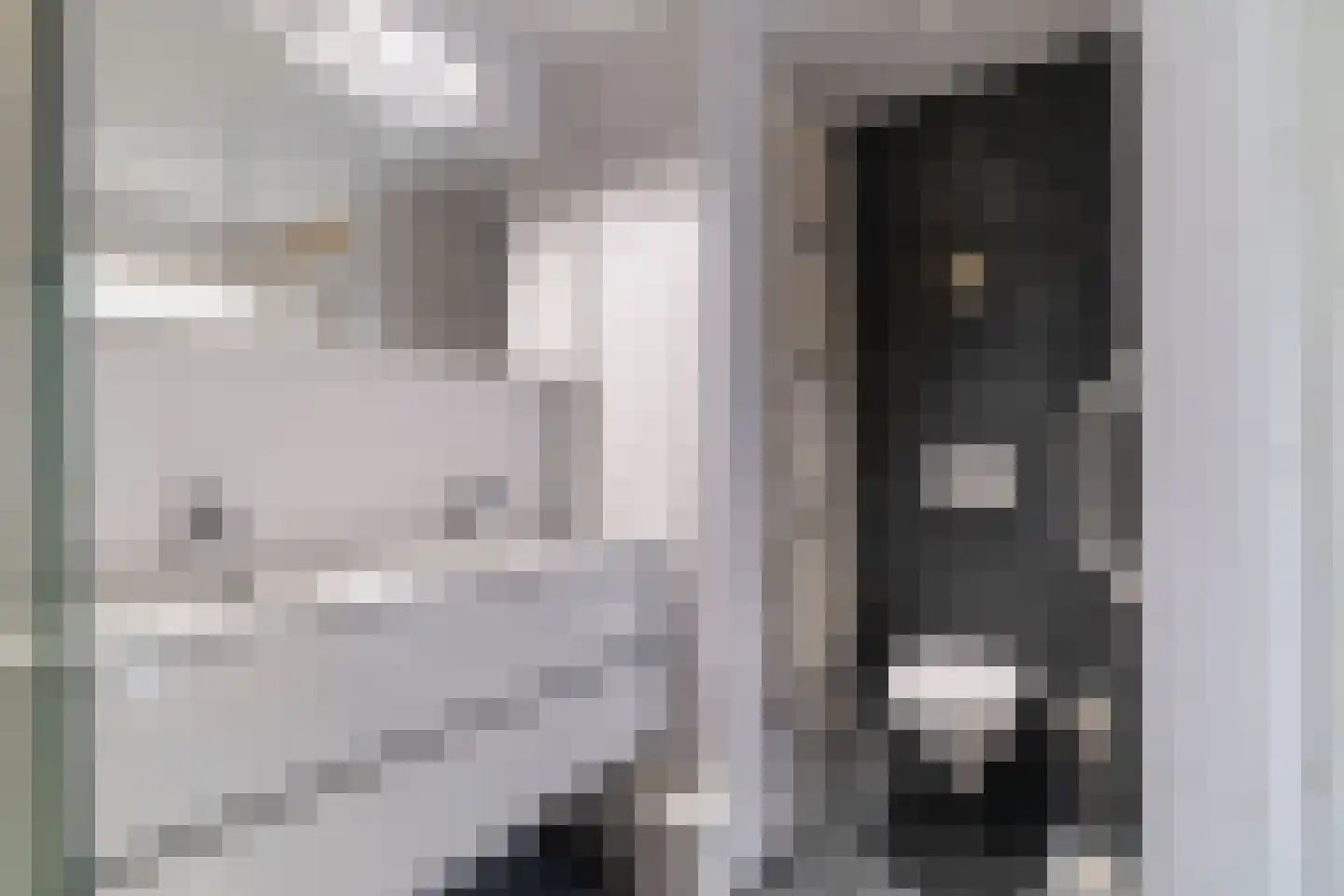 Ruychrocklaan 422 Den Haag thumbnail 88