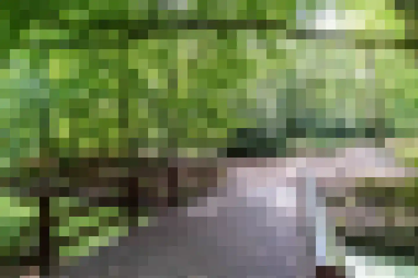 Ruychrocklaan 422 Den Haag thumbnail 91